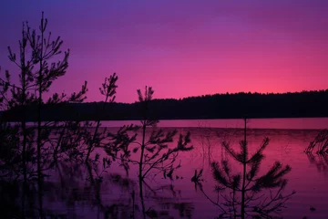 Fototapete Pink Sunset on a forest lake. Night landscape. Dark silhouettes of trees against the background of a pink saturated sky  © Любовь Фомина