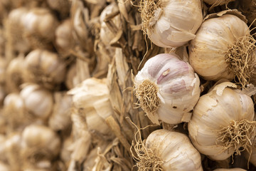 Bunch of garlic hanging in a shop in Italy