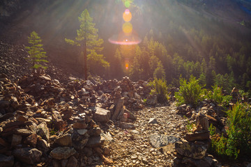Magic pyramids of balancing stones near larch on mountain. Stones latza for positive energy and fulfillment of desires. Rich vegetation on hill. Atmospheric landscape with sun rays and lens flares.
