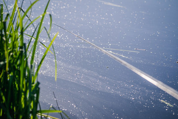 Fishing rod on the background of the lake