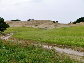 Obraz premium hügelige Landschaft in Mönchsgut auf Rügen