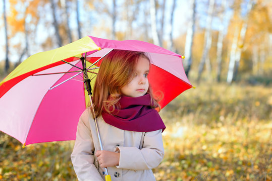 happy child girl with an umbrella  on an autumn walk.
