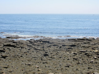 View of the ocean during low tide with seaweed on the rocky shore 