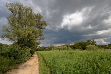 Fototapeta na wymiar Ciemne, skłębione chmury na niebie nad łąką, drzewami, polną drogą