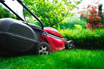 Mowing the grass. The gardener mows the grass with a red electric mower. Work in the garden, spring cleaning. Care for the garden and grass.