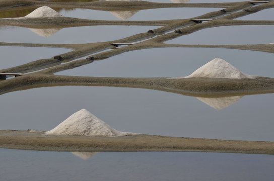 Sel. Marais salants, Noirmoutier, France