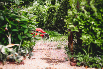 Mowing the grass. The gardener mows the grass with a red electric mower. Work in the garden, spring cleaning. Care for the garden and grass.