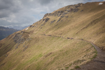Trekkers along path in the Padon Ridge tilt shift effect, Dolomites,Trentino, Italy