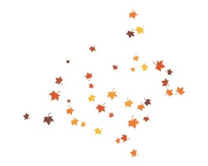 Obraz na płótnie Canvas autumn Leaf background concept template vector illustration
