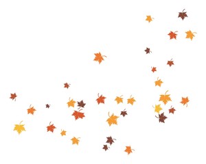 autumn Leaf background concept  template vector illustration