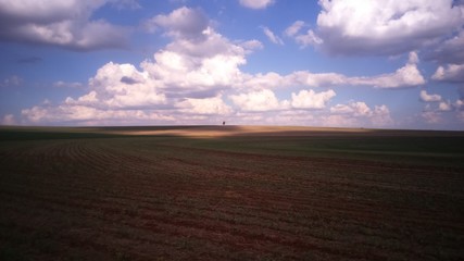 Obraz premium Natureza