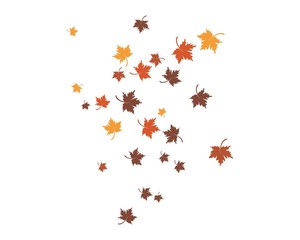 autumn Leaf background concept  template vector illustration
