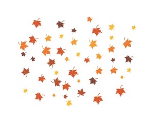 autumn Leaf background concept  template vector illustration