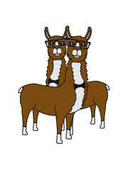 team paar 2 freunde nerd geek freak hornbrille lama kamel alpaka südamerika tier süß niedlich comic cartoon clipart