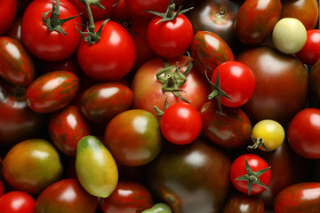Tasty juicy tomatoes as background, top view