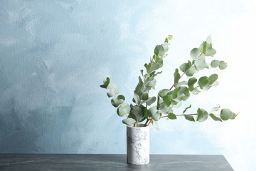 Bunch of eucalyptus branches with fresh leaves in vase on table