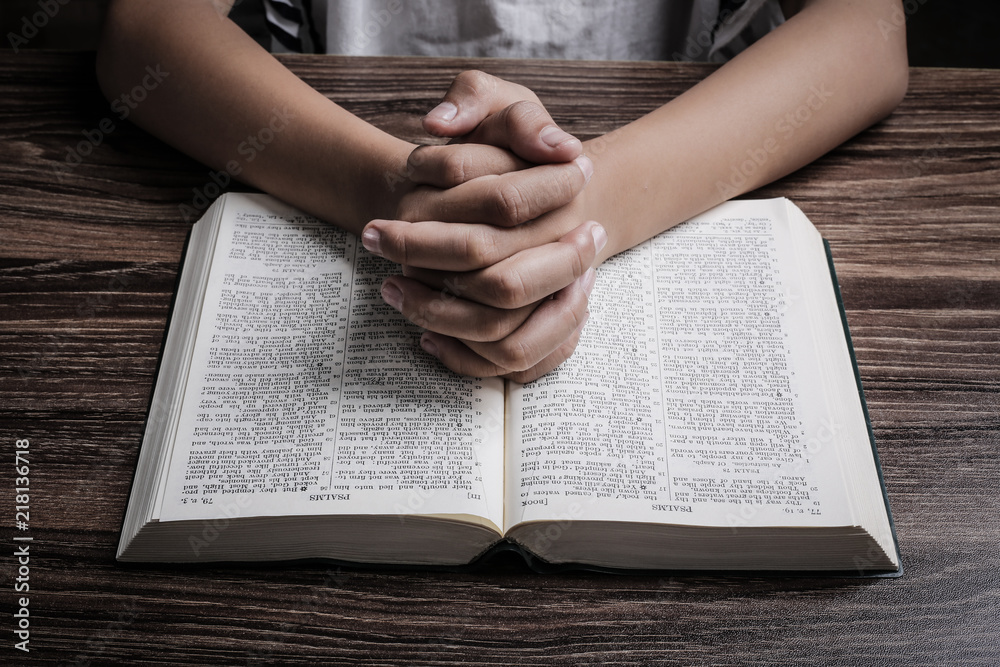 Wall mural praying hands with holy bible