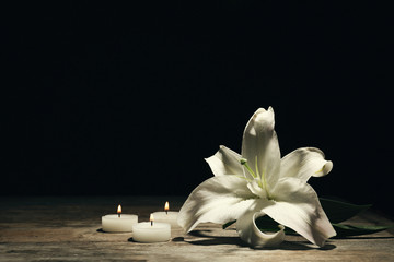 Beautiful lily and burning candles on dark background with space for text. Funeral flower