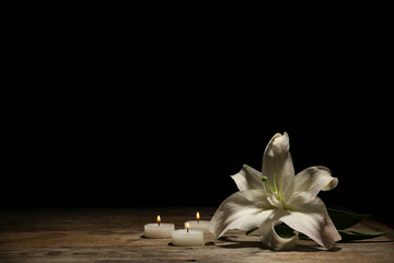 Fototapeta na wymiar Beautiful lily and burning candles on dark background with space for text. Funeral flower