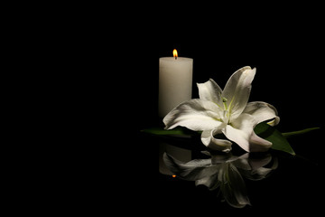 Obraz premium Piękna lilia i świeca na ciemnym tle z miejscem na tekst. Kwiat pogrzebowy