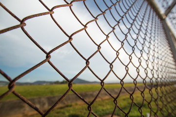 Fototapeta premium wire mesh steel with green grass background in Phuket Thailand