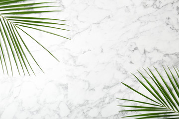 Fresh tropical date palm leaves on marble background, top view