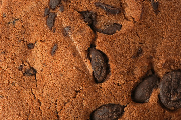 Tasty cookie with chocolate chips as background, top view