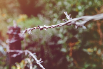 Barbed wire. Close-up on the spondylitis. Barbed wire fence, no passage. Separating two places from each other, the transition is impossible.