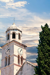 Ancient Clock Tower by Tree