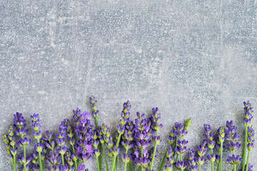 Lavender flowers on gray background. Copy space, top view. Summer background. Copy space, view from above - obrazy, fototapety, plakaty