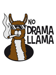 no drama llama joint rauchen cool sonnenbrille hanf weed drogen kiffer kiffen loch boden kopf gesicht lama kamel alpaka südamerika tier süß niedlich comic cartoon clipart