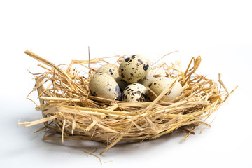 Naklejka na ściany i meble quail eggs in a nest isolated on white