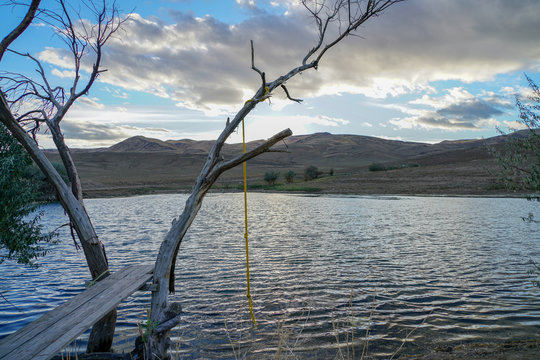 Homemade diving board and rope swing near a pond in the Nevada Desert.