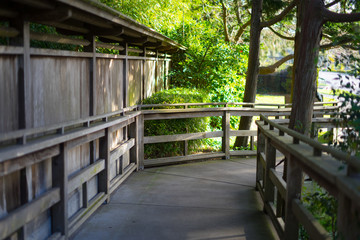 Fototapeta na wymiar roads in Japanese Tea Garden