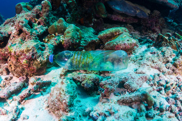 A discarded plastic bottle on the seabed of a tropical coral reef.