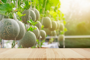 Empty wooden table with Japanese Cantaloupe Melon farm background for montage of your product