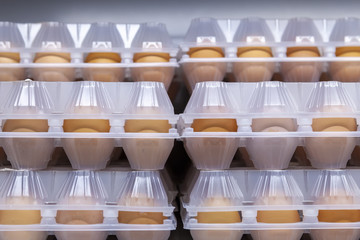 Chicken eggs in plastic packaging. Front view.