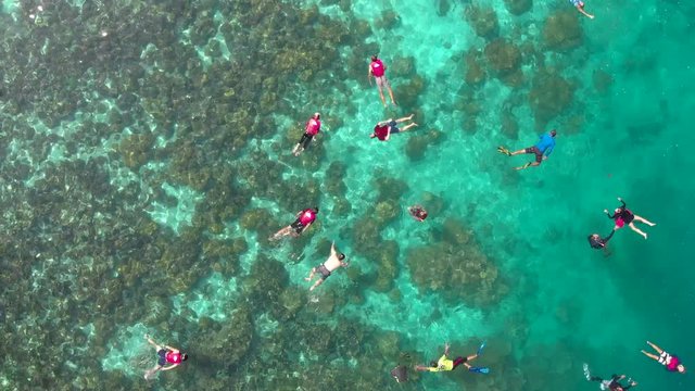Aerial shot of people snorkeling over huge coral reef
