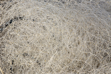 Closeup of fishing net, tidy on the boat