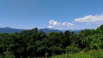 富士山