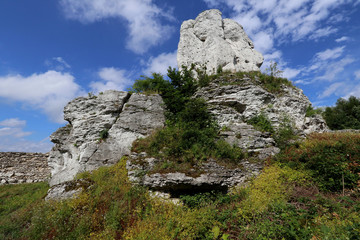Fototapeta na wymiar Limestone rocks in Poland Ogrodzieniec Castel Poland