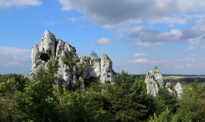Fototapeta na wymiar Ogrodzieniec Castel Poland, unique rocks in Poland