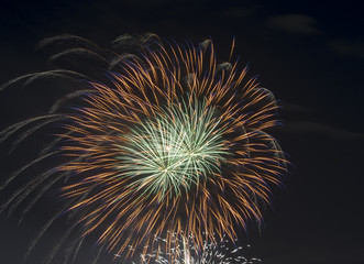 Fototapeta premium 打上げ花火 東京多摩川