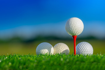 close up the golf ball on tee pegs ready to play in the green background