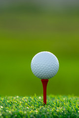 close up the golf ball on tee pegs ready to play in the green background
