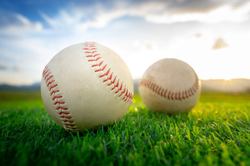 Close up baseball on the green grass background at sunset.