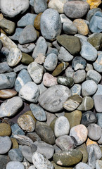 rocas