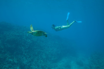 Woman in bikini swims underwater with wild green sea turtle