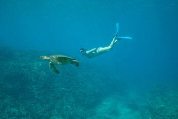 Fototapeta na wymiar Woman in bikini swims underwater with wild green sea turtle