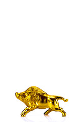 金色のイノシシ